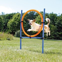 Agility ring 65 cm.