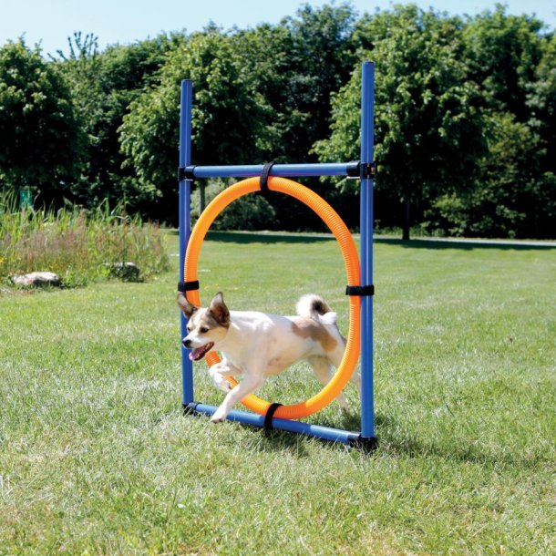 Agility ring 65 cm.