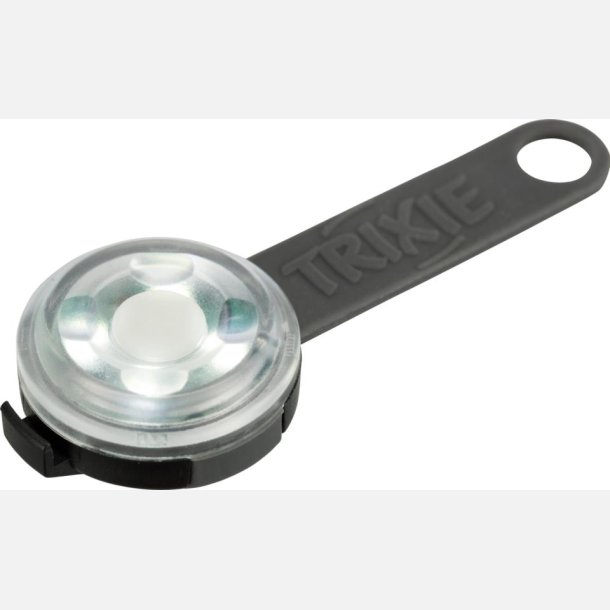 USB flasher til hunde