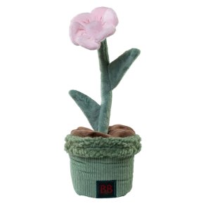 Pawtanic Garden Blomst