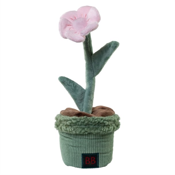 Pawtanic Garden Blomst