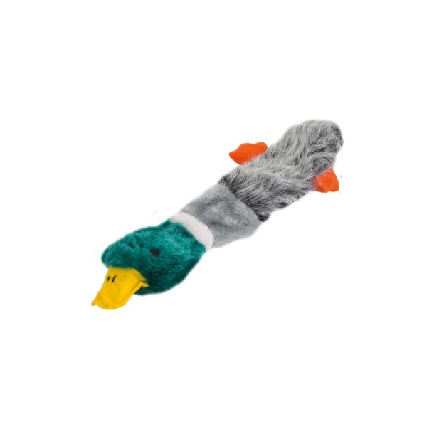 Udsultet vildand med 2 piv