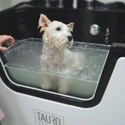 Ozone Bath 6in1 woth Milky Spa and lonic, white and black
