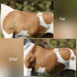 Shake�n Shine 100 ml.