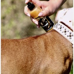 Shake�n Shine 100 ml.