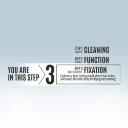 Detangling Leave-In Conditioner 250 ml. for all coat type - Step 3