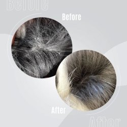 Repairing Elixir no. 2 - 30 ml.