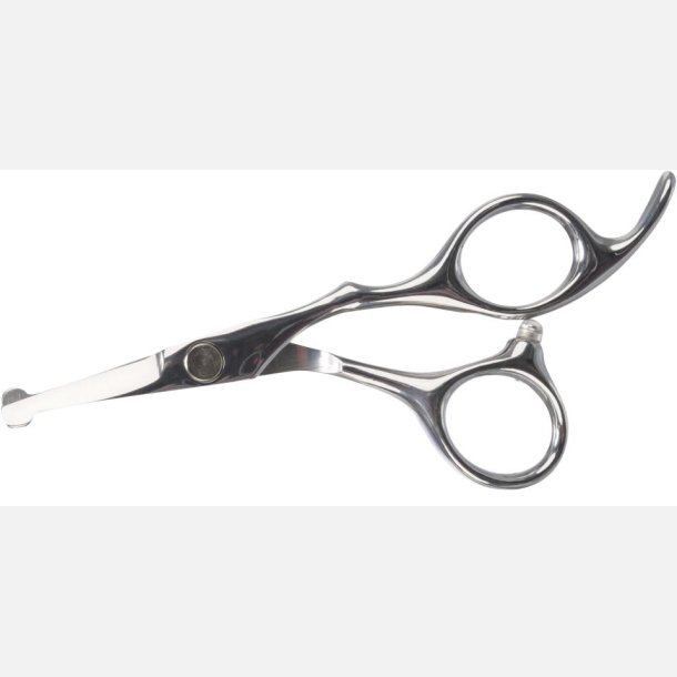 Prof. hoved/pote saks 