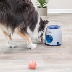 Dog Activity Ball &amp; Treat strategy game