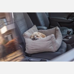 Bils�de / transportseng beige