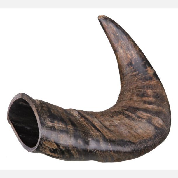Buffalo tygge horn