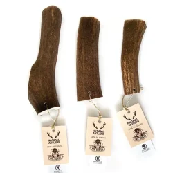 Hjortegevir - naturlig bidering 