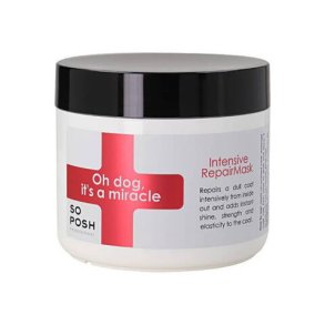 Its a Miracle Intensive Repair Mask 