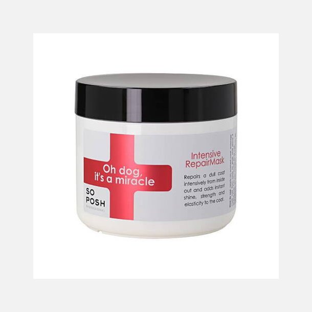 Its a Miracle Intensive Repair Mask 